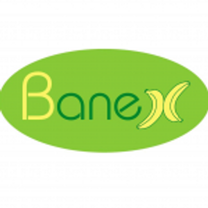 Banex Trading DMCC
