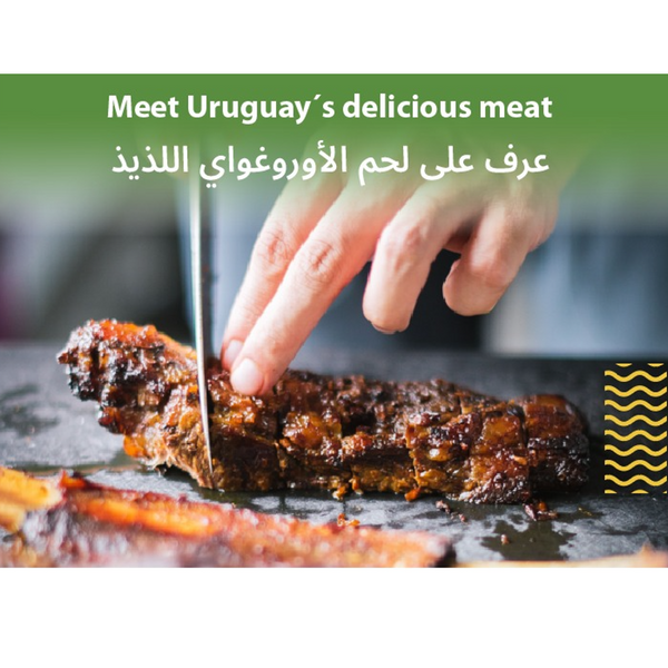 HIGH QUALITY URUGUAY HALAL BEEF