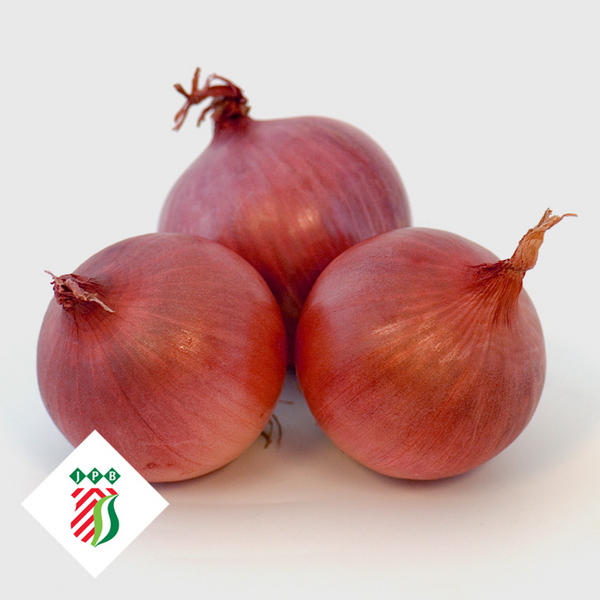 Crimsun Pink Onion