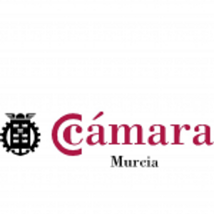 Camara Comercio Murcia