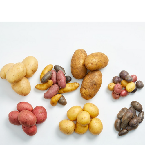 7 Major Types of U.S. Potatoes
