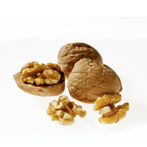 Shelled and In-shell Walnuts