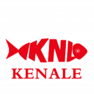 Ningbo Kenale Import And Export Co.,Ltd