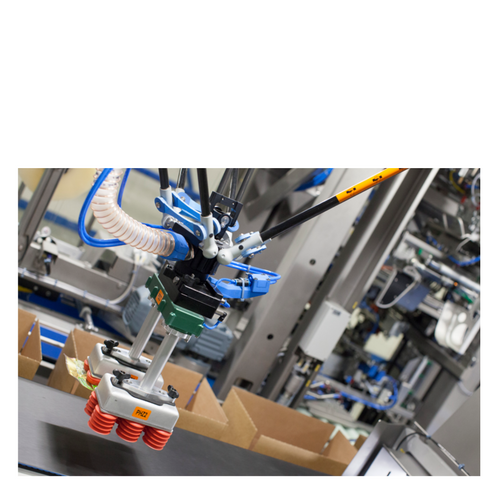 BPA Spider Robotic system