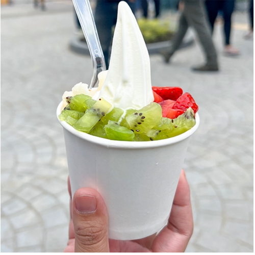 Frosty Boy Frozen Yoghurt