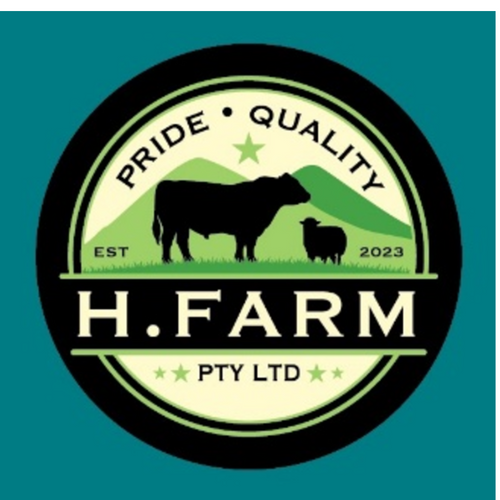 H Farm