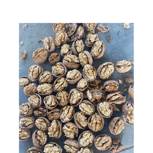 dried fruits