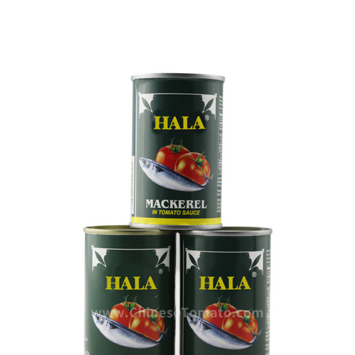 canned mackerel in tomato sauce