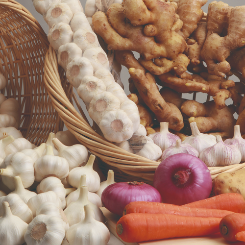 Fresh Products