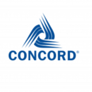 ООО (LLC) ConcordBusinessService