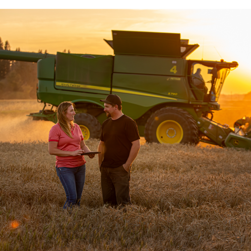 Cereal Grains