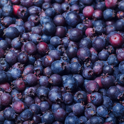 Saskatoon Berries