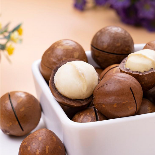 Chinese Macadamia Nut