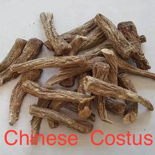 Chinese Costus