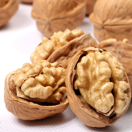 Chinese Walnut