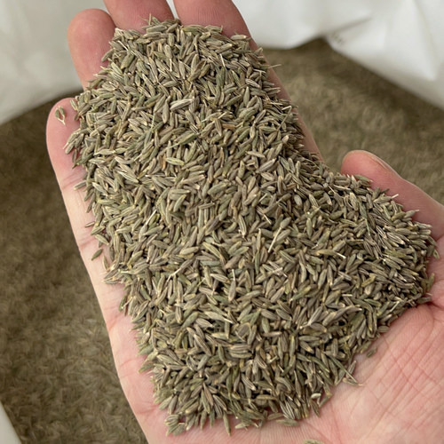 Chinese Cumin Seeds