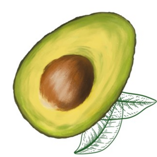 Avocado Oil