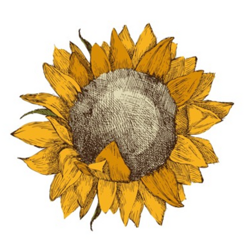 Sunflower Oil