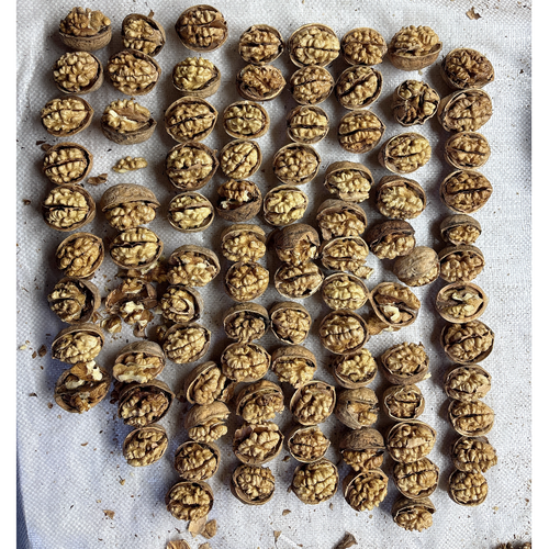 185walnuts