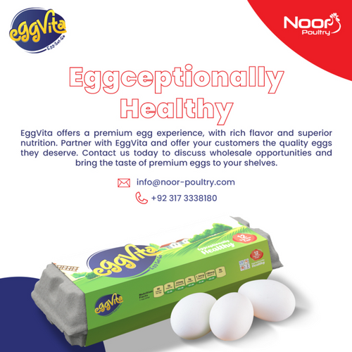EggVita White