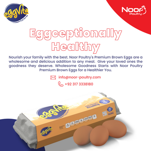 EggVita Brown