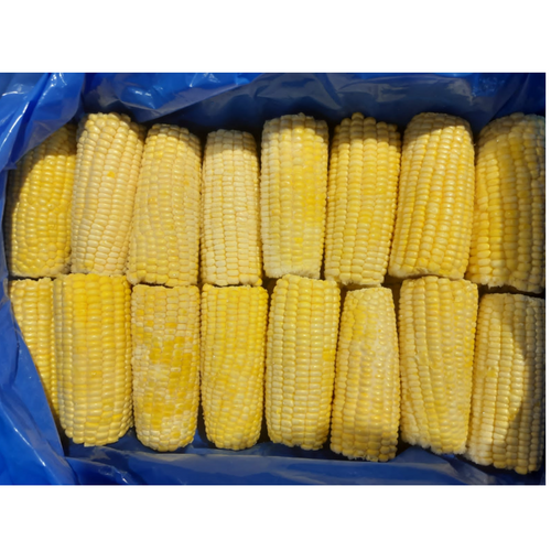 IQF Corn on Cob 1.5'/3'/5'