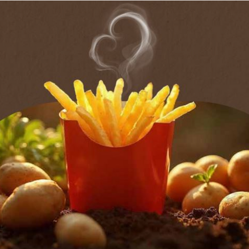 Frozen French Fries