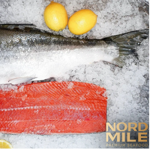 Wild caught sockeye salmon gutted