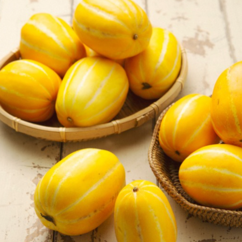 Yellow melon