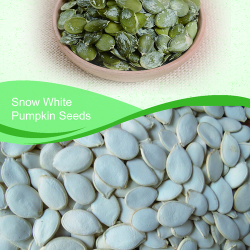 Snow white pumpkin seeds/kernels
