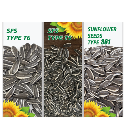Sunflower seeds