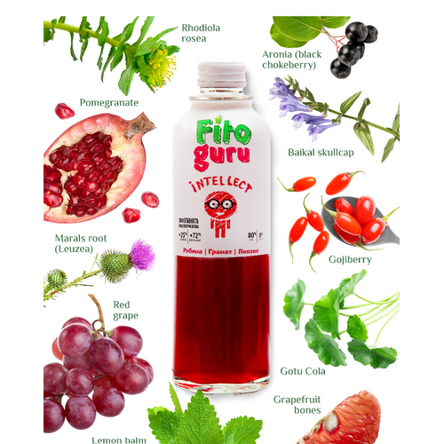 Fitoguru Intellect Natural drink